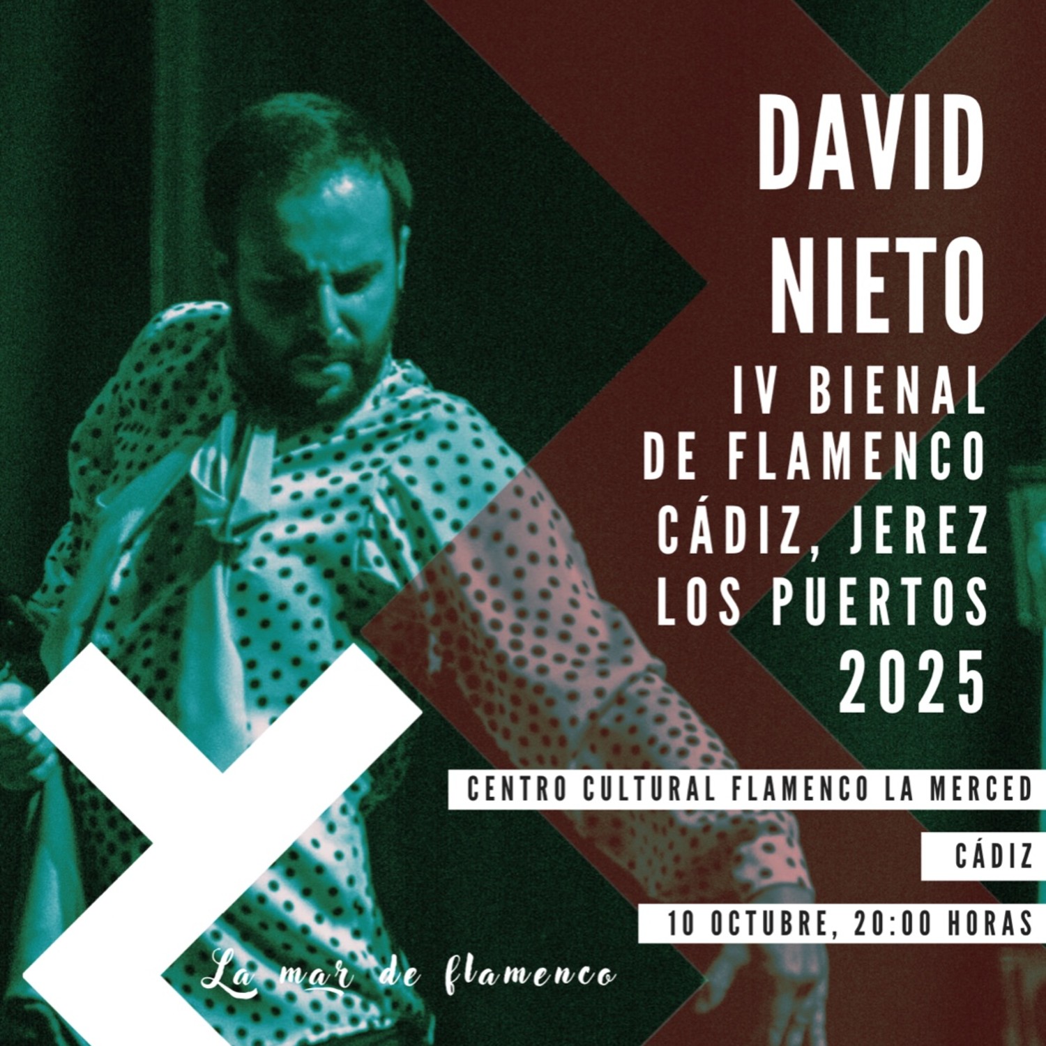 IV BIENAL FLAMENCO - Baile - David Nieto