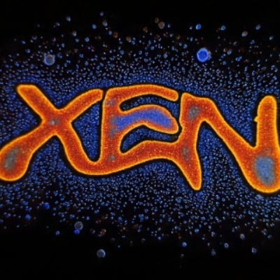 XEN CLUB